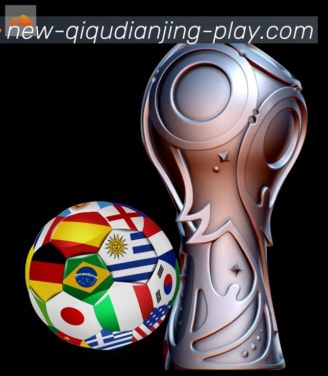 未来规划